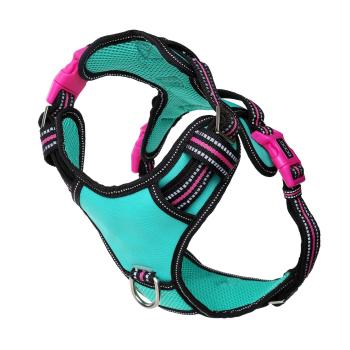 DOOG Neotech Geschirr RIN TIN TIN Gr. M